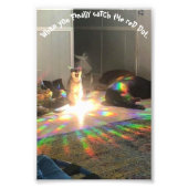 Glory Foto Afdruk (Voorkant)