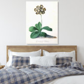 Glory of Chilton (gouache on vellum) Canvas Afdruk (Insitu (Slaapkamer))
