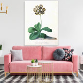 Glory of Chilton (gouache on vellum) Canvas Afdruk (Insitu (Woonkamer))
