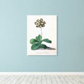 Glory of Chilton (gouache on vellum) Canvas Afdruk (Insitu (Houten vloer))