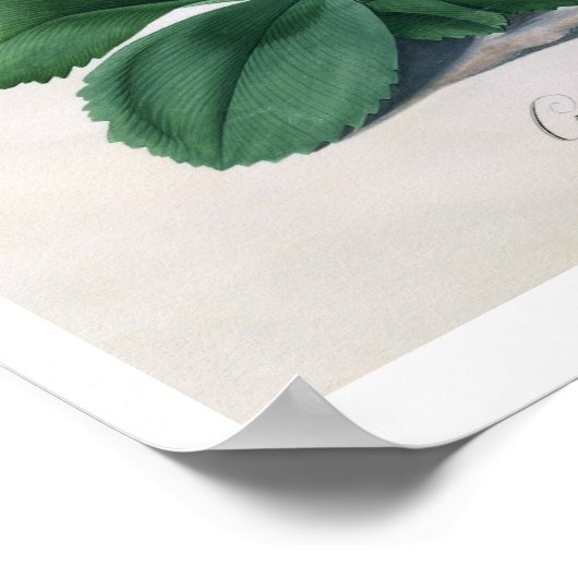 Glory of Chilton (gouache on vellum) Poster (Hoek)