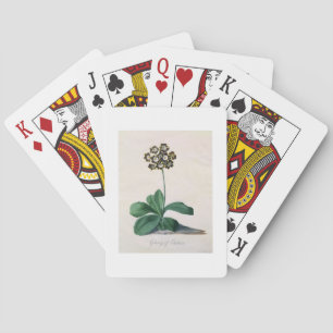 Glory of Chilton Pokerkaarten