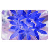 Glory of the Snow Shocking Blue Premium Magnet Magneet (Horizontaal)