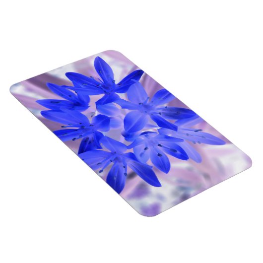 Glory of the Snow Shocking Blue Premium Magnet Magneet (Rechterzijde)