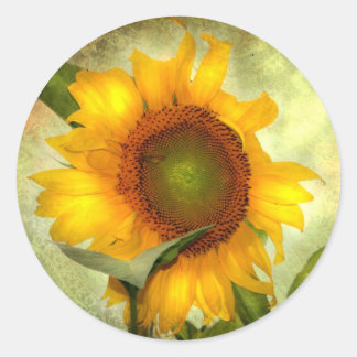 Glory Ronde Sticker