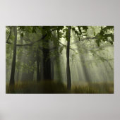 Glory van Banyans Poster (Voorkant)