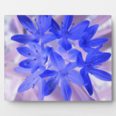 Glory van het sneeuwschokkende Blauwe Plaque Fotoplaat (Voorkant)