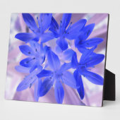 Glory van het sneeuwschokkende Blauwe Plaque Fotoplaat (Zijkant)