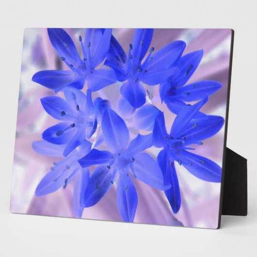 Glory van het sneeuwschokkende Blauwe Plaque Fotoplaat (Zijkant)