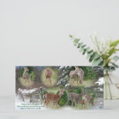 Glory voor God... (Staand voorkant)