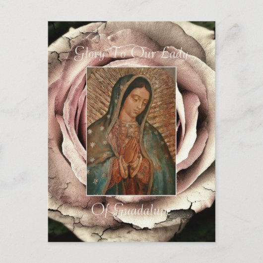Glory voor onze dame van Guadalupe Briefkaart (Voorkant)