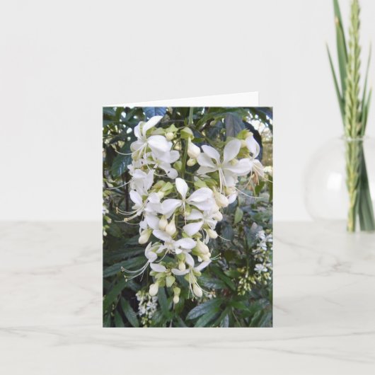 Glorybower Foto gevouwen Note Kaart (Voorkant)