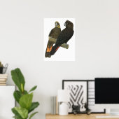 Glossy Black Cockatkato Pair Poster (Thuiskantoor)