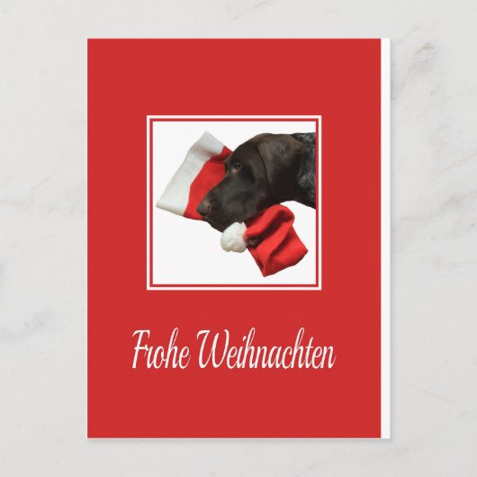 Glossy Grizzly Christmas Frohe Weihnachten Feestdagenkaart (Voorkant)