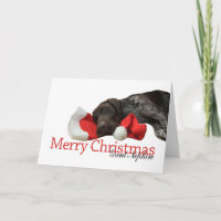 Glossy Grizzly Great Nephew Merry Kerstmis