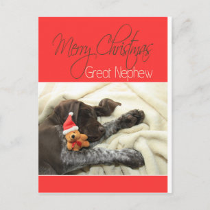 Glossy Grizzly Great Nephew Merry Kerstmis Feestdagenkaart