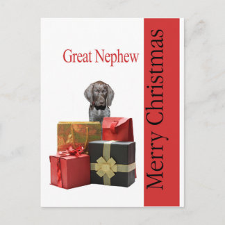 Glossy Grizzly Great Nephew Merry Kerstmis Feestdagenkaart
