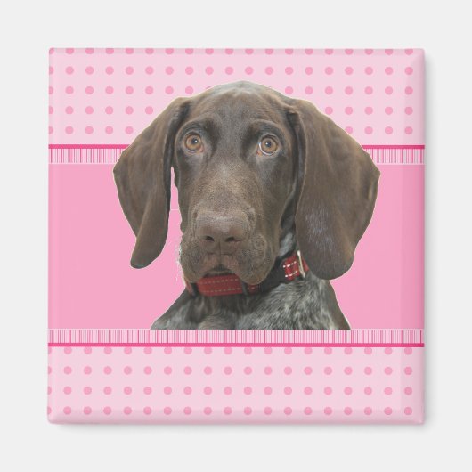Glossy Grizzly in roze Magneet (Voorkant)