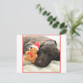 Glossy Grizzly-kerstinter Feestdagenkaart (Staand voorkant)