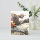 Glossy Grizzly-kerstinter Feestdagenkaart (Staand voorkant)