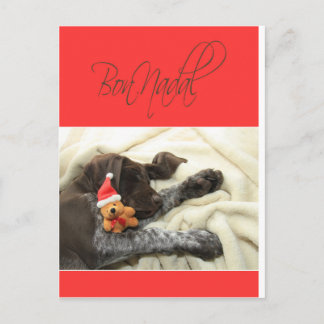 Glossy Grizzly Kerstmis Bon Nadal Feestdagenkaart