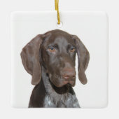 Glossy Grizzly kerstversiering Keramisch Ornament (Voorkant)