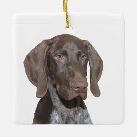 Glossy Grizzly kerstversiering Keramisch Ornament (Voorkant)