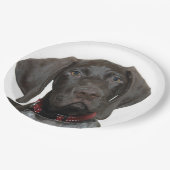 Glossy Grizzly Papieren Bordje (Gekanteld)