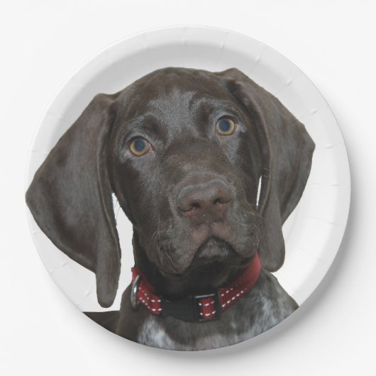 Glossy Grizzly Papieren Bordje (Voorkant)