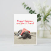 Glossy Grizzly Special Friend Merry Christmas Feestdagenkaart (Staand voorkant)