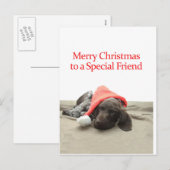 Glossy Grizzly Special Friend Merry Christmas Feestdagenkaart (Voorkant / Achterkant)