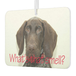 Glossy Grizzly wat is die geur Luchtverfrisser