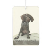 Glossy Grizzly wat ruikt dat? Luchtverfrisser (Voorkant)