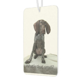 Glossy Grizzly wat ruikt dat? Luchtverfrisser