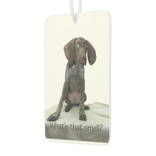 Glossy Grizzly wat ruikt dat? Luchtverfrisser (Links)