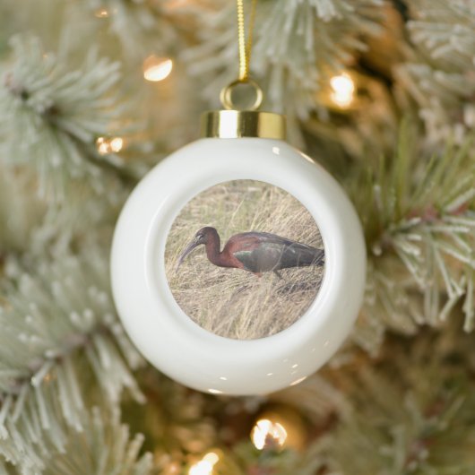 Glossy Ibis Bird keramische kerstversiering Keramische Bal Ornament (Boom)