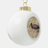 Glossy Ibis Bird keramische kerstversiering Keramische Bal Ornament (Links)