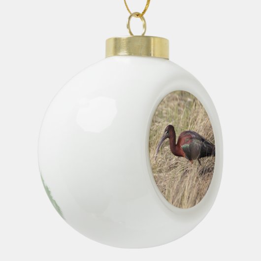 Glossy Ibis Bird keramische kerstversiering Keramische Bal Ornament (Links)
