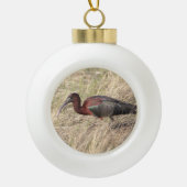 Glossy Ibis Bird keramische kerstversiering Keramische Bal Ornament (Voorkant)