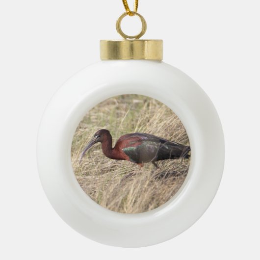 Glossy Ibis Bird keramische kerstversiering Keramische Bal Ornament (Voorkant)
