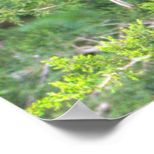 Glossy Ibis Bird Poster (Hoek)