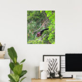 Glossy Ibis Bird Poster (Thuiskantoor)