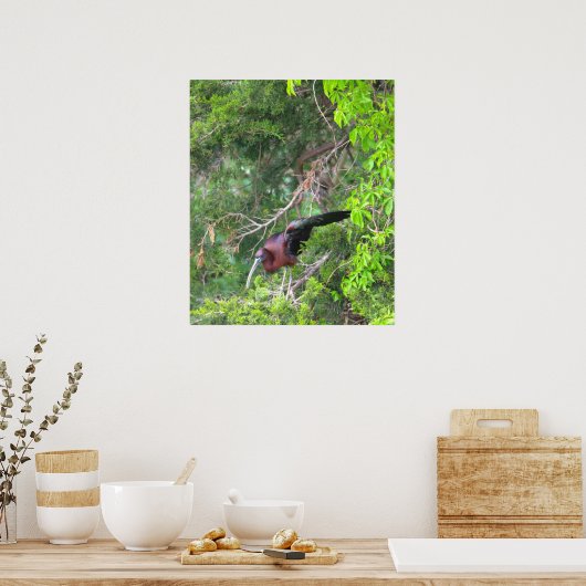Glossy Ibis Bird Poster (Keuken)