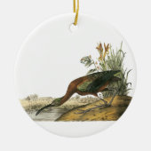 Glossy Ibis, John Audubon Keramisch Ornament (Voorkant)