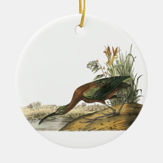 Glossy Ibis, John Audubon Keramisch Ornament (Voorkant)