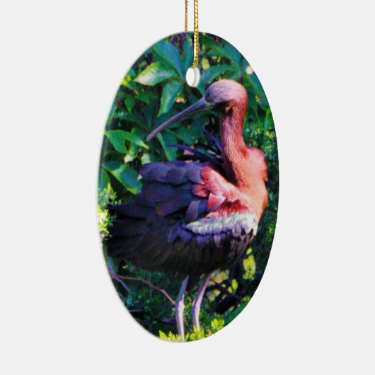 Glossy Ibis Keramisch Ornament (Rechts)