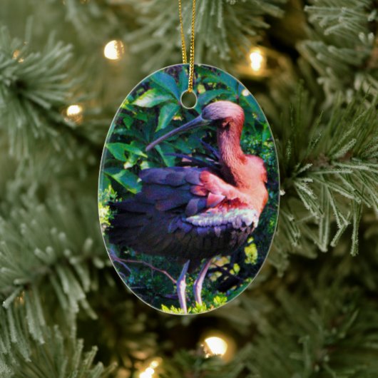 Glossy Ibis Keramisch Ornament (Boom)