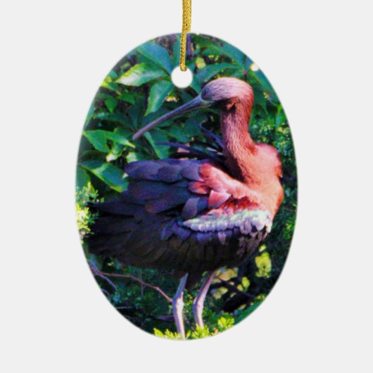 Glossy Ibis Keramisch Ornament (Voorkant)