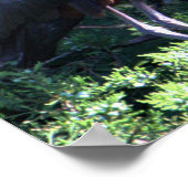 Glossy Ibis Poster (Hoek)