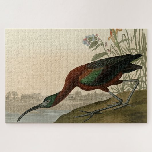 Glossy Ibis - van de Amerikaanse vogels van Audubo Legpuzzel (Horizontaal)